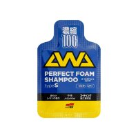 Soft99 - Perfect Foam Shampoo Type S 1pc